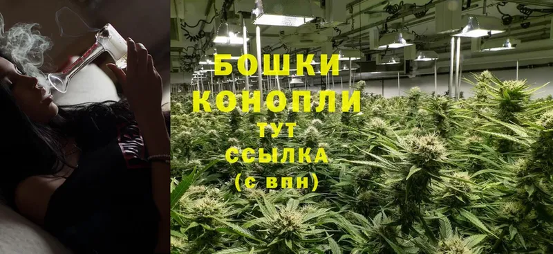 Конопля THC 21%  Жиздра 